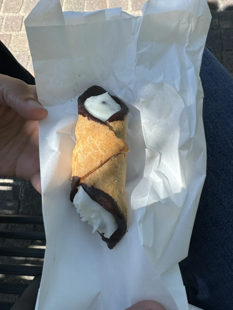 Cannolo from Pasticceria Bacio di Cioccolato in Verona, Italy