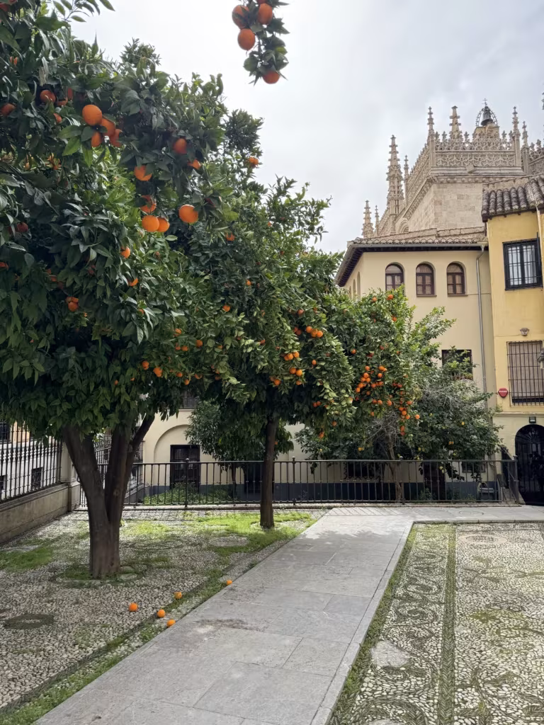 Cathedral in El Centro, Granada