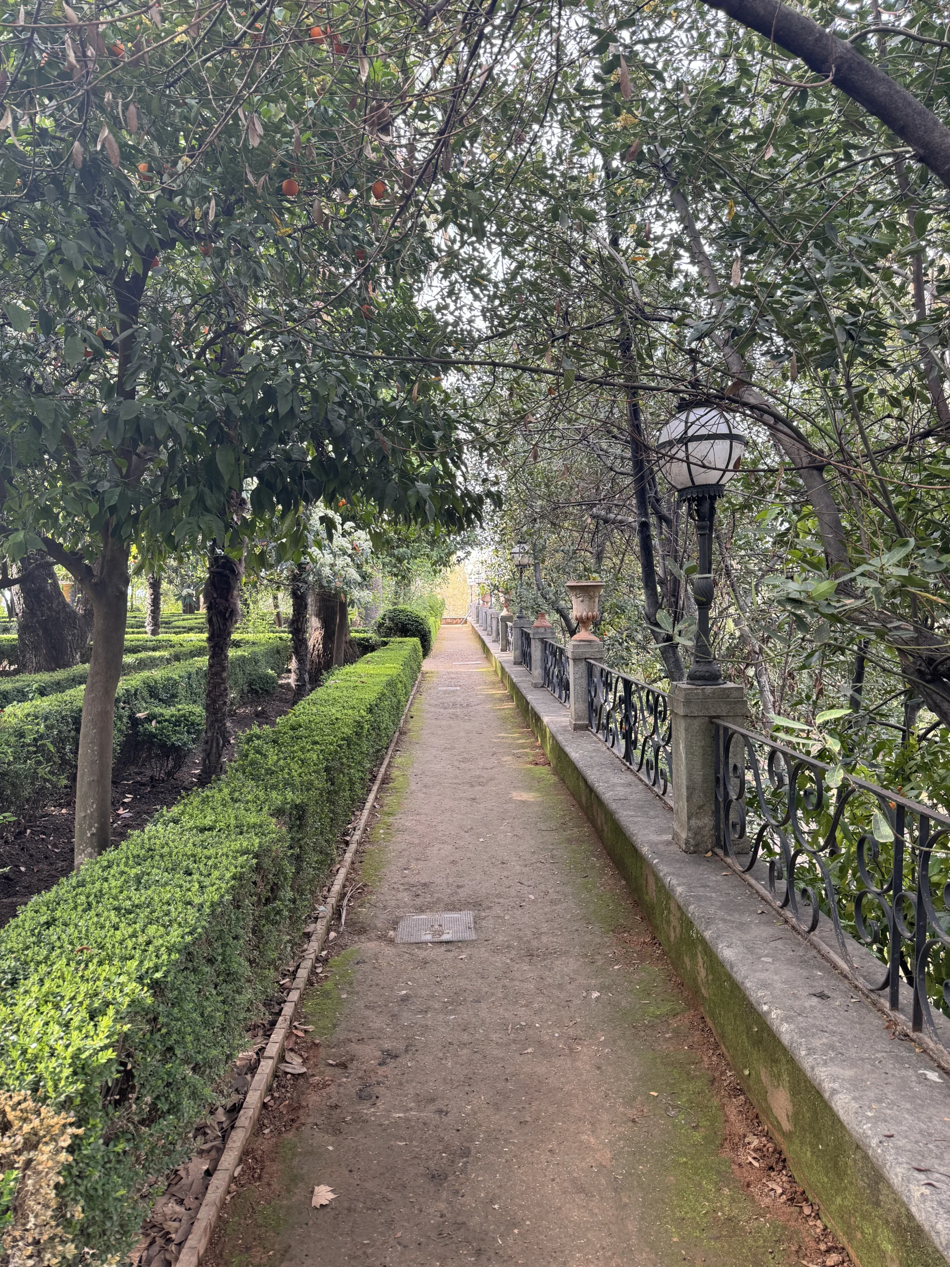 Frances Garden in Granada, Spain