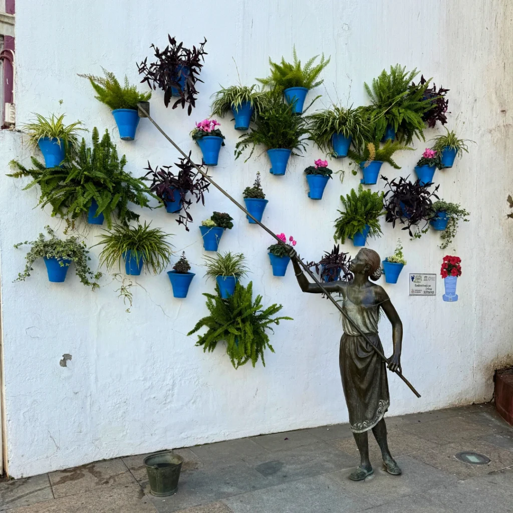 Patios in Cordoba, Spain